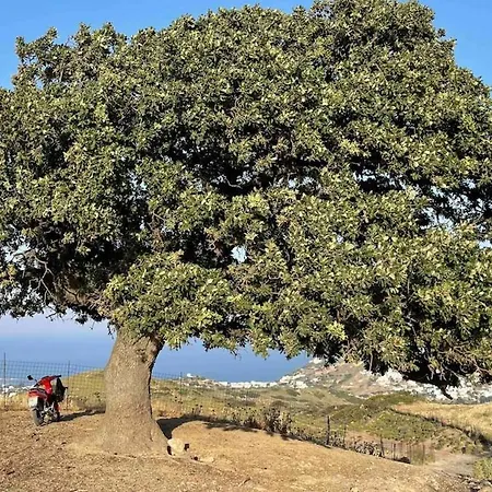 Apartment Amerissas 2 Skyros