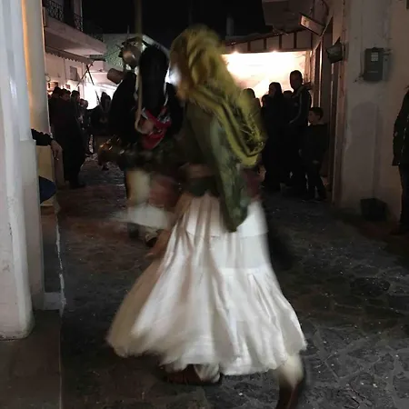 Apartment Amerissas 2 Skyros